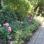 Schoenes-wohnen-am-suedstrand-fewo-6 * 비크아프포르