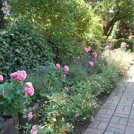 Schoenes-wohnen-am-suedstrand-fewo-6 Apartmán Wyk auf Föhr